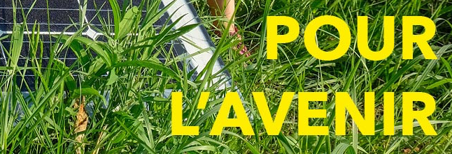 AvenirENR