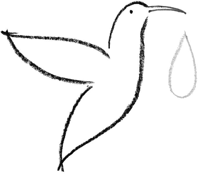 colibri